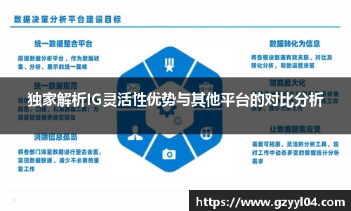 独家解析IG灵活性优势与其他平台的对比分析