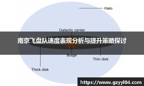 南京飞盘队速度表现分析与提升策略探讨